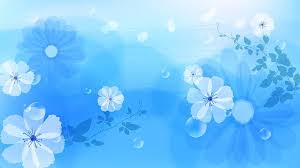 light blue flowers light blue hd