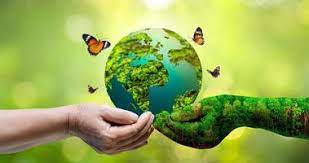 save environment stock photos images