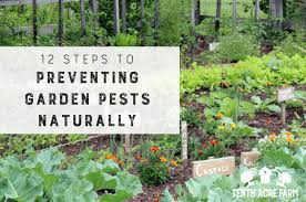 preventing garden pests naturally