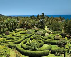 kauai s enchanting botanical gardens