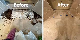 oakton va grout cleaning and sealing