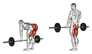 What Muscle Groups Do Deadlifts Work 5 Tried And True