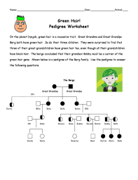Next to each purchase click on the provide feedback butto. Green Hair Pedigree Worksheet Simple Answer Key Fill Online Printable Fillable Blank Pdffiller