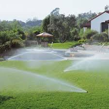 Using Sprinkler Irrigation