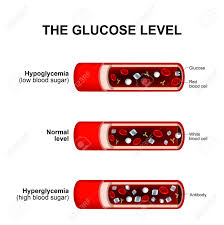 Blood Sugar Level Or Glucose Level Normal Level Hyperglycemia
