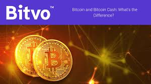 Bitcoin cash is a cryptocurrency that is a fork of bitcoin. Bitcoin And Bitcoin Cash What S The Difference Bitvo