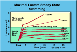 Lactate Testing And The Lactate And Anaerobic Thresholds