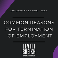 termination without cause in ontario