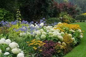 plant the perfect perennial garden