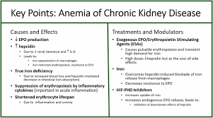 It occurs when the kidneys fail, preventing the body from removing. Iron Deficiency In Chronic Kidney Disease Updates On Pathophysiology Diagnosis And Treatment American Society Of Nephrology
