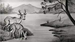 how to draw deer with pencil sketch