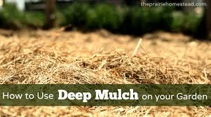 deep mulch method in your garden