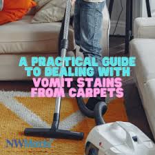 vomit stains from carpets