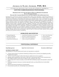 Write a human resources manager resume summary or objective your professional resume profile is another name for a resume objective or summary. Strategic Thinker Business Partner Human Resource Director Shrm P