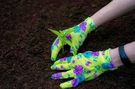 hands planting a sprout in garden bed