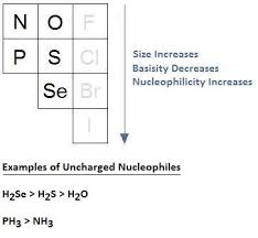 Nucleophile Chemistry Libretexts
