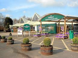 wyevale garden centre sell off planned