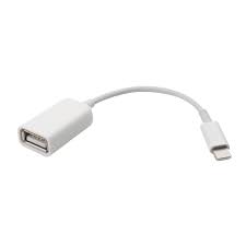 Using Lightning To Usb Adapter To Copy Photo From Usb Drive To Iphone Ipad Tnonline