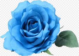 blue rose clip art transpa blue