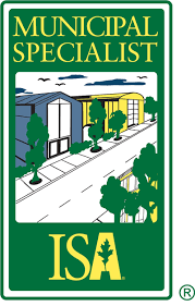 After all, we're not talking about the same skill level required to. International Society Of Arboriculture Credentials Types Of Credentials Isa Certified Arborist Municipal Specialist
