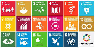 sustainable development goals sdgs