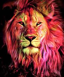 lion wallpaper images search images