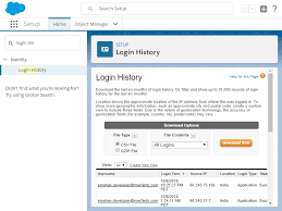 how to login history in sforce