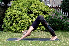 10 vinyasa yoga poses for beginners