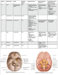 Cranial Nerves Table Jawgones Medical School Notes