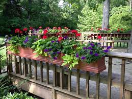 With leafy vines spilling downward and colorful bulbs up top, this arrangement makes for a dynamic presence on the home exterior. Stylish Railing Planters Ideas Railing Planters Deck Railing Planters Deck Planters