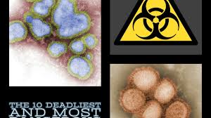 10 deadliest and most dangerous viruses