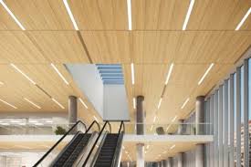 Lyra Pb Ceiling Panels Have A New Wood