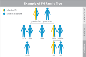 What Is Fh Canadian Heart Patient Alliance