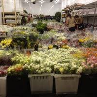 Maybe you would like to learn more about one of these? Potomac Floral Wholesale 2403 Linden Ln