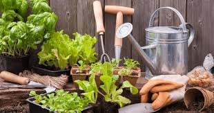Unlock A Thriving Vegetable Garden With