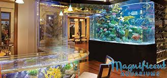 Luxury Custom Aquariums | Fish Tank Maintenance ServiceMagnificent Aquariums gambar png