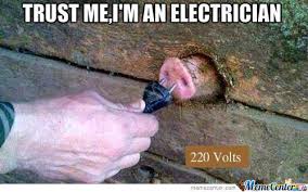 pig electrician Must See Imagery: 50 funny pics to brighten your ... via Relatably.com