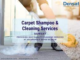 best carpet shoo services in delhi