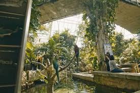 moody gardens explore the rainforests