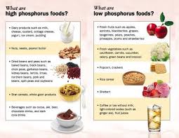 Low And High Phosphorus Food Kidney Friendly Foods Kidney