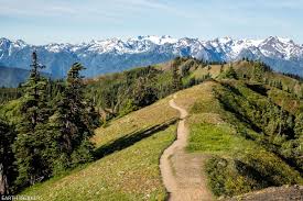 17 great hikes in olympic national park