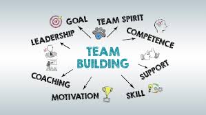 Team Building Concept Chart With Stock Footage Video 100 Royalty Free 1035925703 Shutterstock