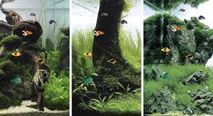 best aquarium and fish live wallpapers