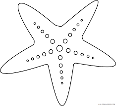 My adult coloring pages include flowers, animals and geometrics. Starfish Coloring Pages Starfish By Irlandia Sxhk4a Clipart Printable Coloring4free Coloring4free Com