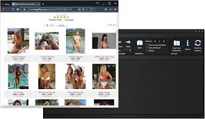 Best Imagefap downloader - how to download imagefap galleries