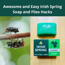 Irish Spring Soap And Flies S