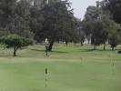 Putting Green, Chuck Corica Golf Complex, Alameda, Ca - Picture of ...