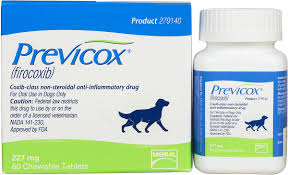 Previcox For Dogs Merial Safe Pharmacy Arthritis Pain