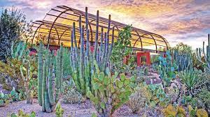 the desert botanical garden