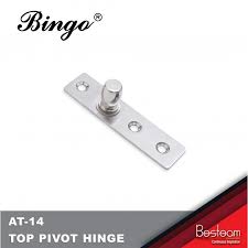 Stainless Steel Top Pivot Hinges